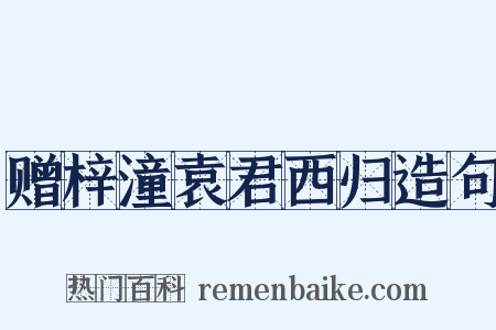 赠梓潼袁君西归造句是什么意思的图片